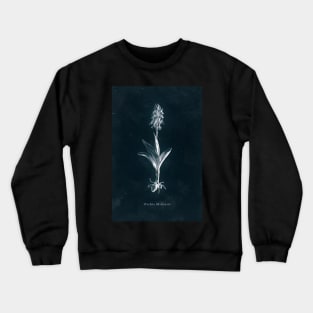 Cyanotype - Orchis Militaris Crewneck Sweatshirt